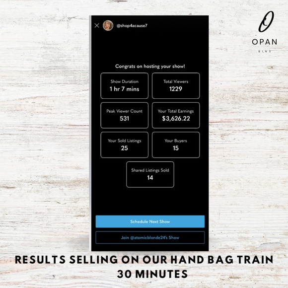 The Opan Bins Luxury Handbag Train | DECEMBER Edition - Picture 2 of 4